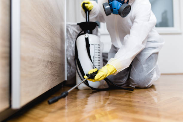 Best Insect Control  in Riverdale, IL