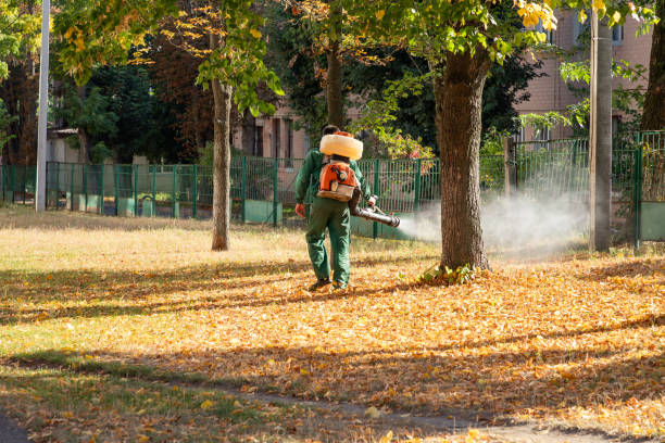 Best Best Pest Control Companies  in Riverdale, IL